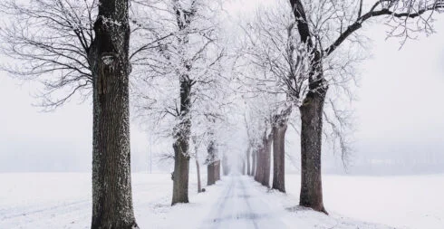 lad | default.project.name