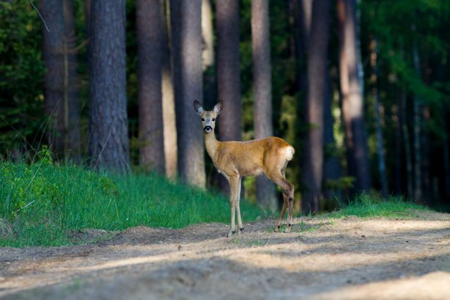 vysledky | default.project.name