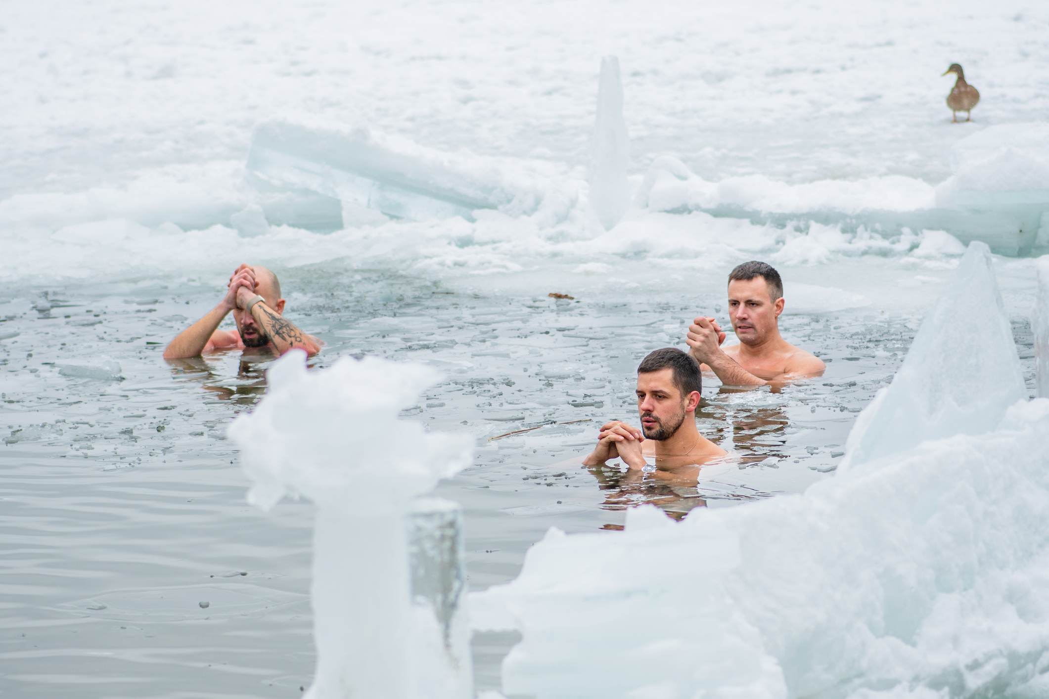 otuzilci | default.project.name