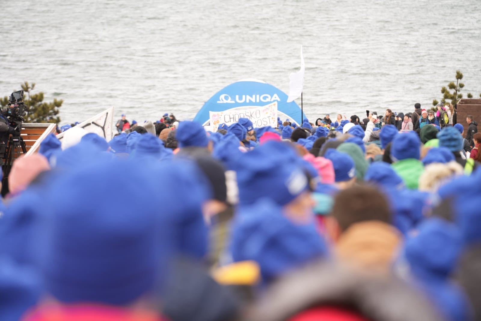 rekord 1 | default.project.name